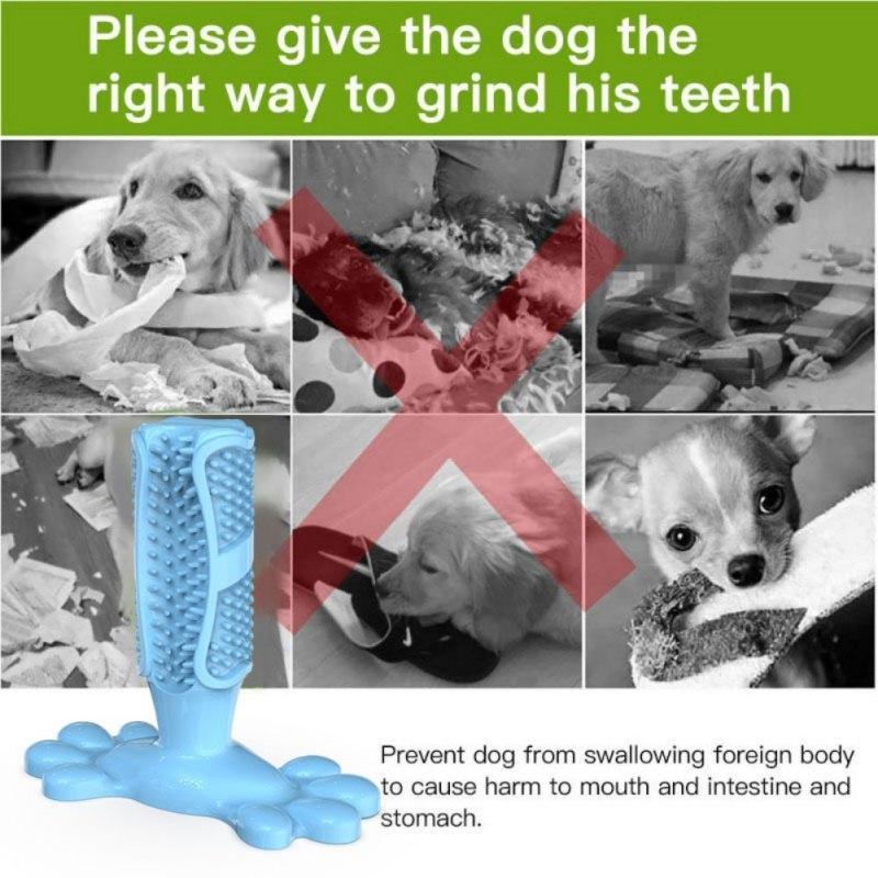 Escova de Dente Para Cachorros