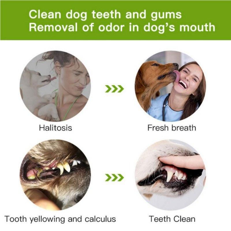 Escova de Dente Para Cachorros